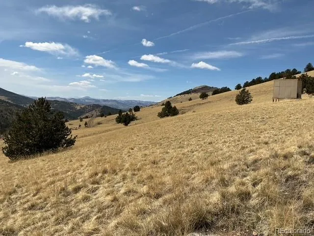 00 Rhyolite Mountain Mesa Cripple Creek, CO 80813