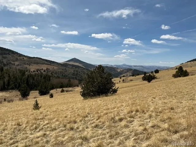 00 Rhyolite Mountain Mesa Cripple Creek, CO 80813