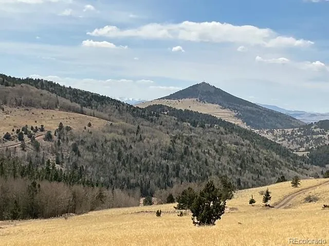 00 Rhyolite Mountain Mesa Cripple Creek, CO 80813