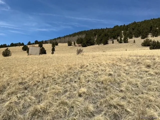00 Rhyolite Mountain Mesa Cripple Creek, CO 80813