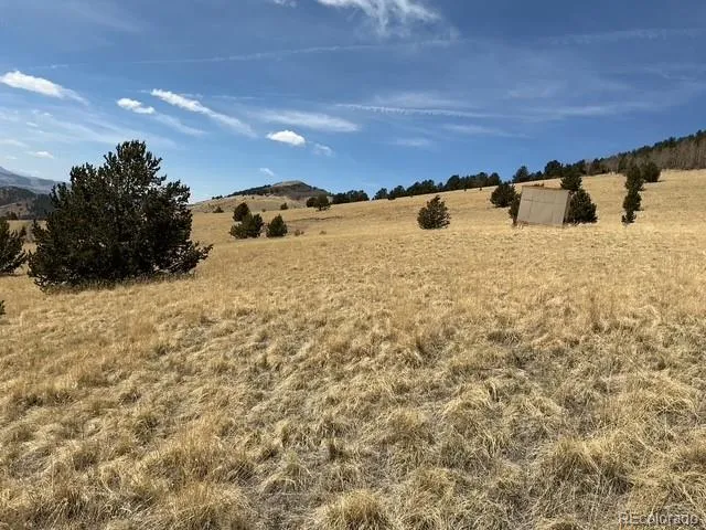 00 Rhyolite Mountain Mesa Cripple Creek, CO 80813