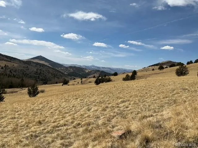 00 Rhyolite Mountain Mesa Cripple Creek, CO 80813