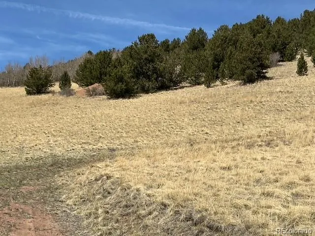 00 Rhyolite Mountain Mesa Cripple Creek, CO 80813