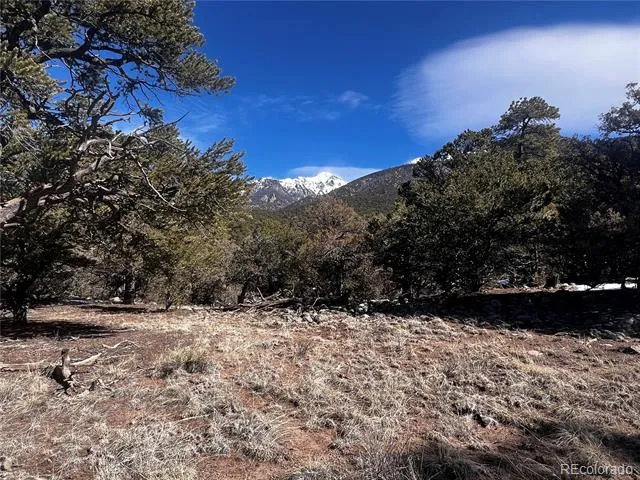 2161 Indian Well Way Crestone, CO 81131