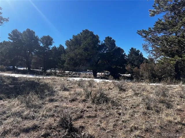 2161 Indian Well Way Crestone, CO 81131