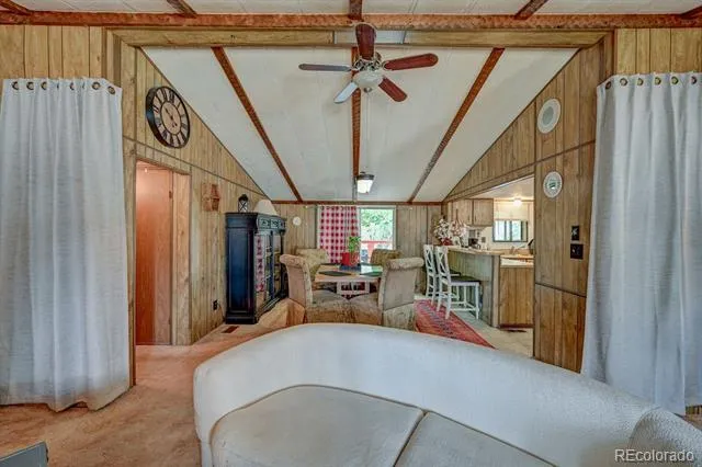 Address Not Shown Buena Vista, CO 81211