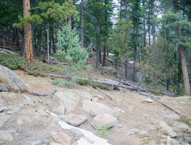 22076 High Springs Trail Morrison, CO 80465