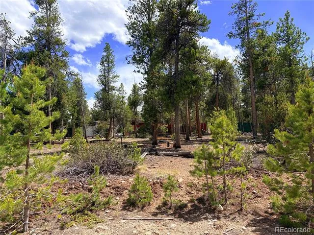 360 Lodgepole Drive Leadville, CO 80461