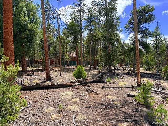 360 Lodgepole Drive Leadville, CO 80461
