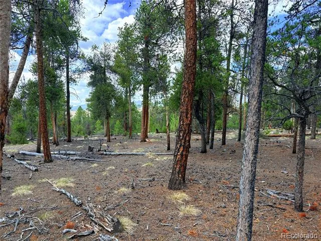 360 Lodgepole Drive Leadville, CO 80461