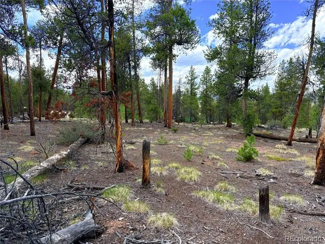 360 Lodgepole Drive Leadville, CO 80461
