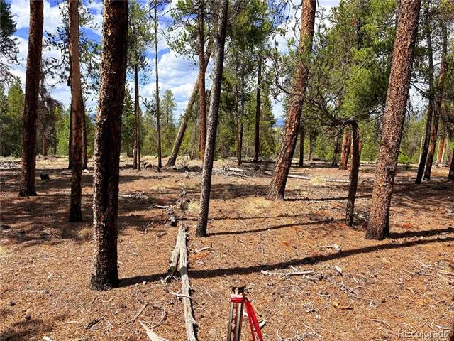 360 Lodgepole Drive Leadville, CO 80461