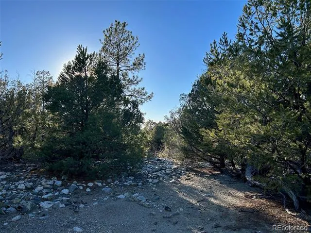 Conejos Place Mosca, CO 81146