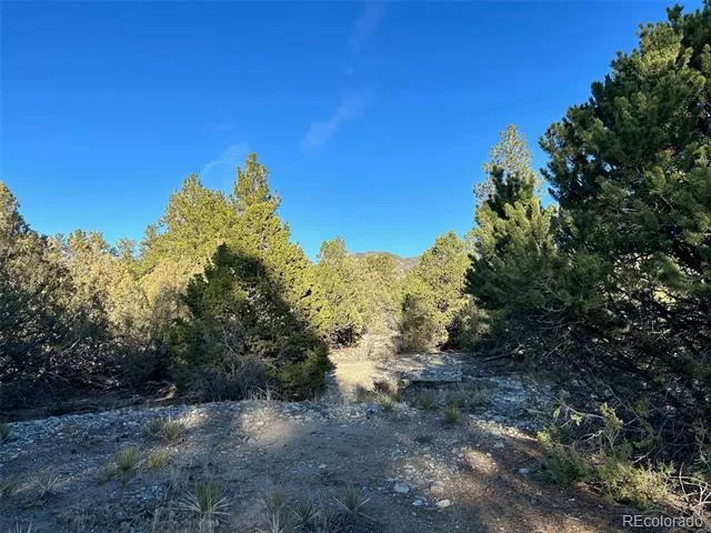 Conejos Place Mosca, CO 81146
