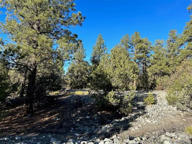 Conejos Place Mosca, CO 81146