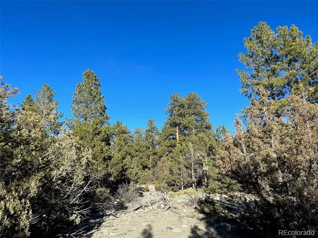 Conejos Place Mosca, CO 81146