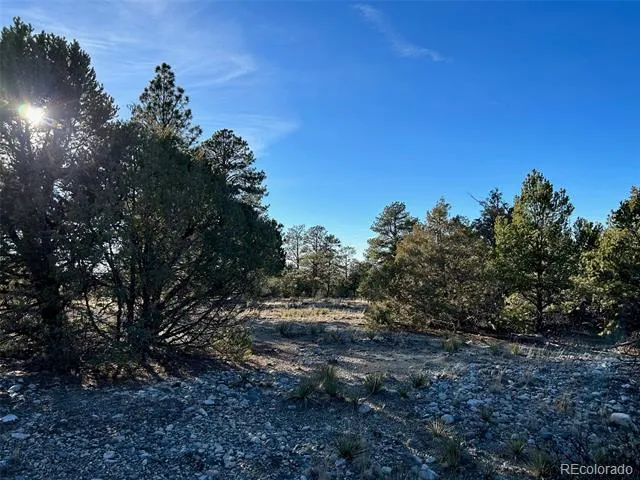 Conejos Place Mosca, CO 81146