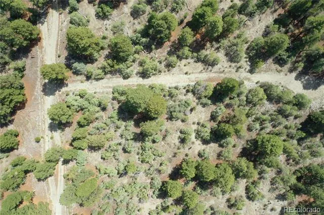 Conejos Place Mosca, CO 81146