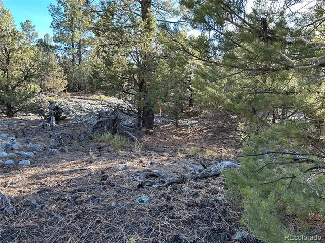 Conejos Place Mosca, CO 81146