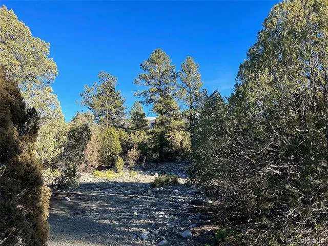 Conejos Place Mosca, CO 81146