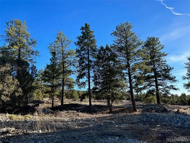 Conejos Place Mosca, CO 81146