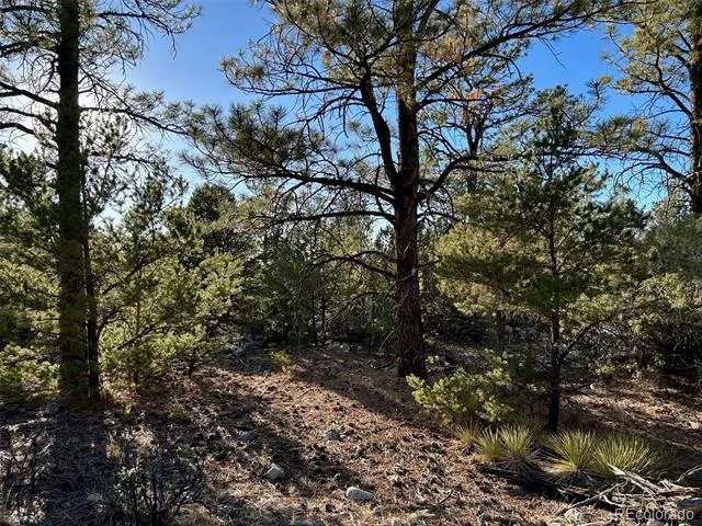Conejos Place Mosca, CO 81146