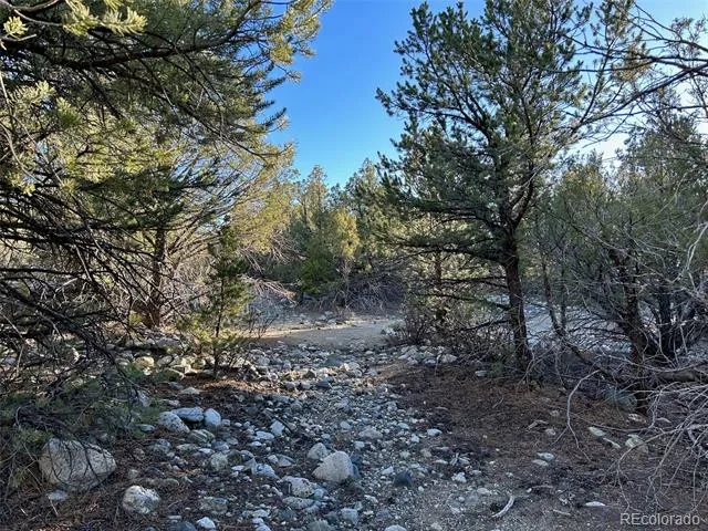 Conejos Place Mosca, CO 81146