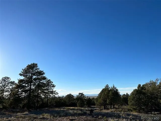 Conejos Place Mosca, CO 81146