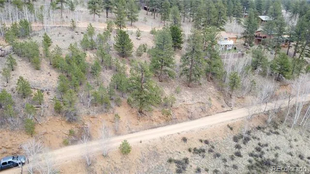 312 Marian Street Bailey, CO 80421