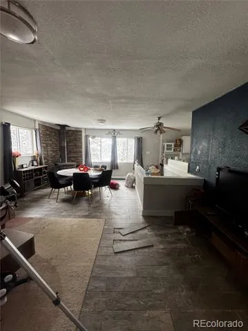 949 S Pine Drive Bailey, CO 80421
