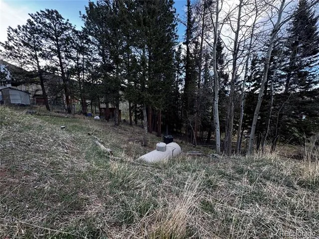 949 S Pine Drive Bailey, CO 80421