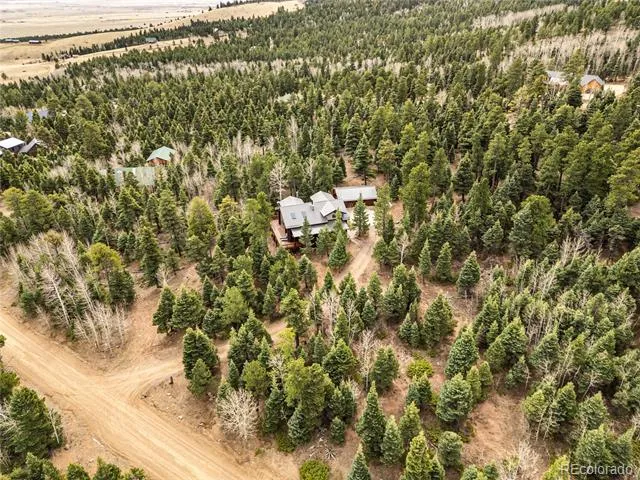 1614 Chalice Drive Westcliffe, CO 81252