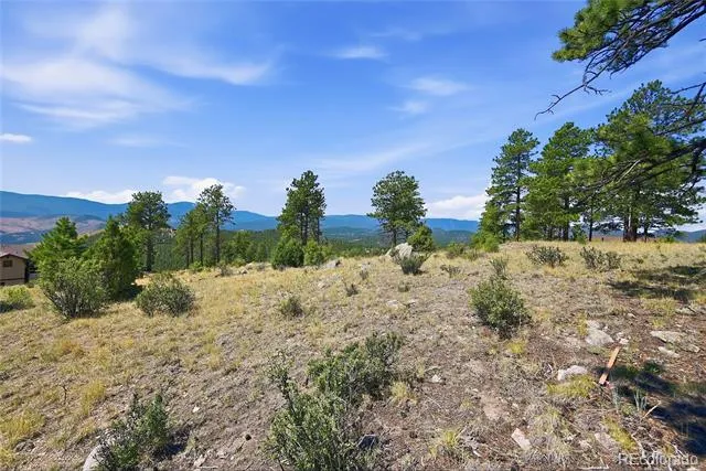 33550 Mount Wilson Road Pine, CO 80470
