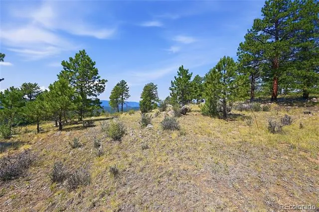33550 Mount Wilson Road Pine, CO 80470