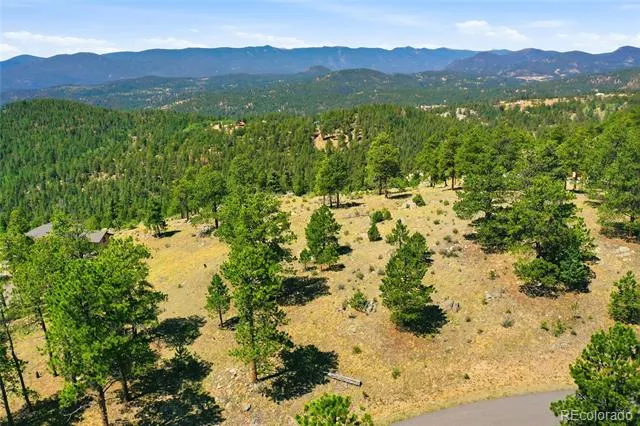 33550 Mount Wilson Road Pine, CO 80470