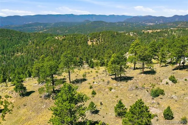 33550 Mount Wilson Road Pine, CO 80470