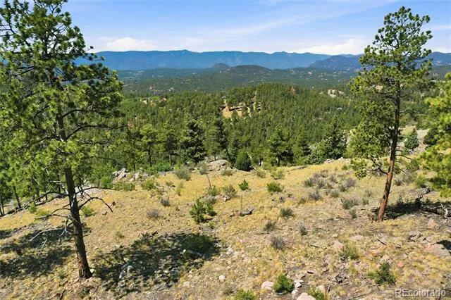 33550 Mount Wilson Road Pine, CO 80470