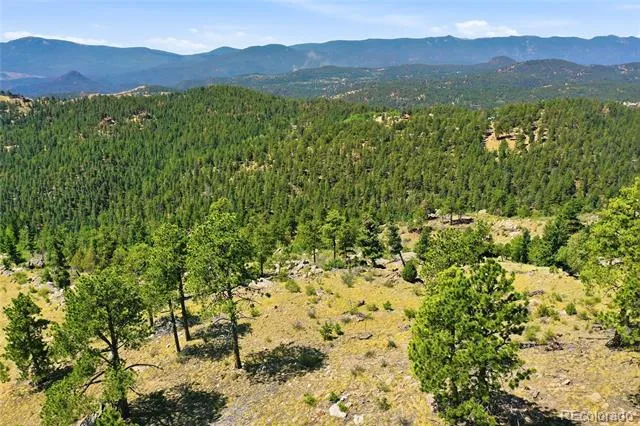 33550 Mount Wilson Road Pine, CO 80470