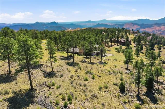 33550 Mount Wilson Road Pine, CO 80470