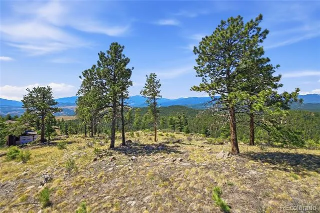33550 Mount Wilson Road Pine, CO 80470