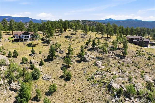 33550 Mount Wilson Road Pine, CO 80470