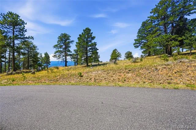 33550 Mount Wilson Road Pine, CO 80470