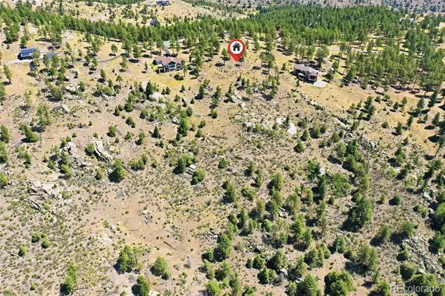 33550 Mount Wilson Road Pine, CO 80470