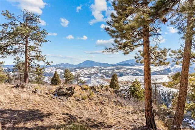 33550 Mount Wilson Road Pine, CO 80470