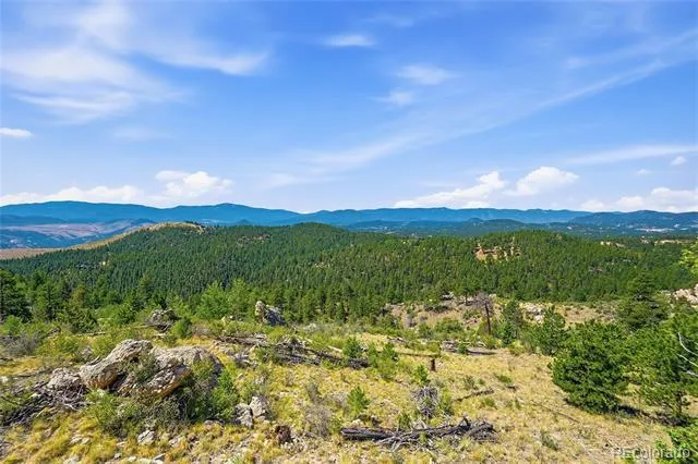 33550 Mount Wilson Road Pine, CO 80470