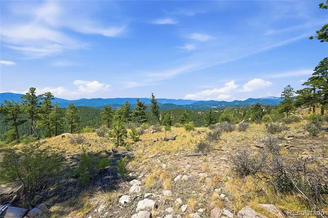 33550 Mount Wilson Road Pine, CO 80470