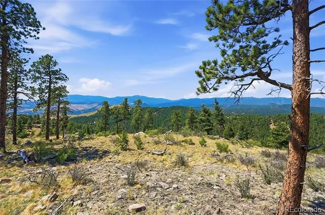 33550 Mount Wilson Road Pine, CO 80470