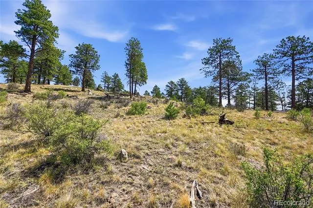 33550 Mount Wilson Road Pine, CO 80470