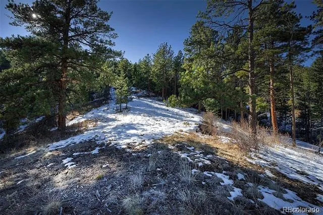 6 Turret Peak Trail Pine, CO 80470