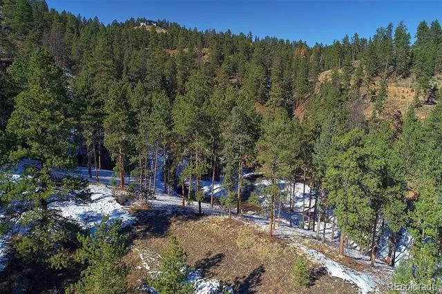 6 Turret Peak Trail Pine, CO 80470